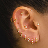PIERCING SUNDAISY ARGENT